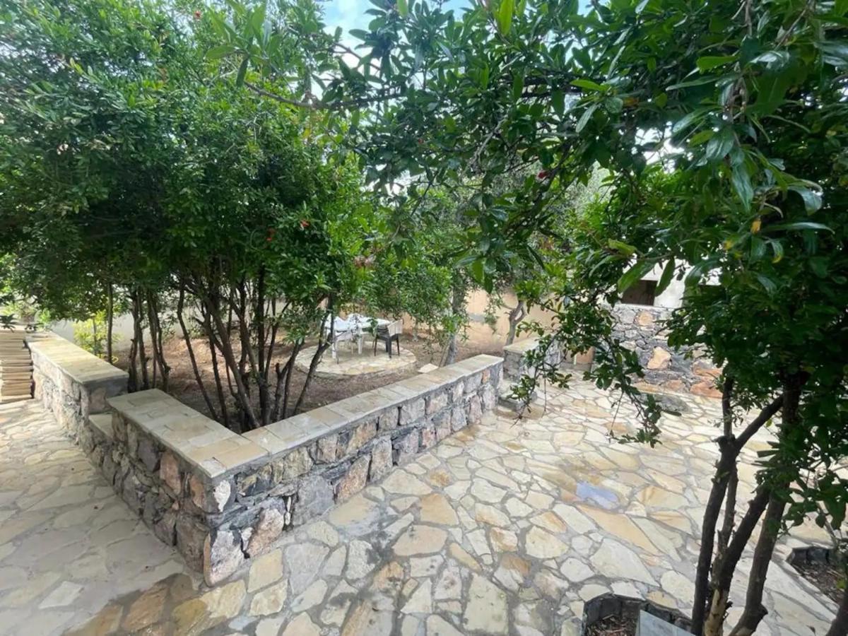 Rose Guesthouse Al 'Aqar Esterno foto
